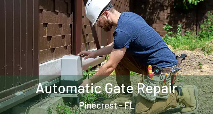  Automatic Gate Repair Pinecrest - FL