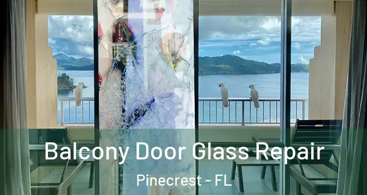 Balcony Door Glass Repair Pinecrest - FL