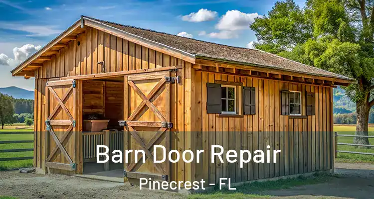  Barn Door Repair Pinecrest - FL