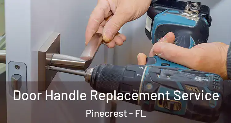  Door Handle Replacement Service Pinecrest - FL