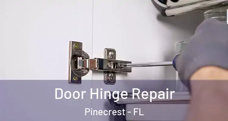  Door Hinge Repair Pinecrest - FL