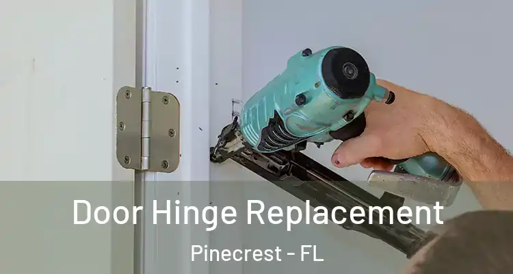  Door Hinge Replacement Pinecrest - FL