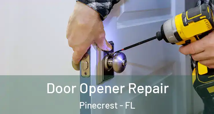  Door Opener Repair Pinecrest - FL
