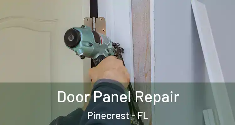  Door Panel Repair Pinecrest - FL