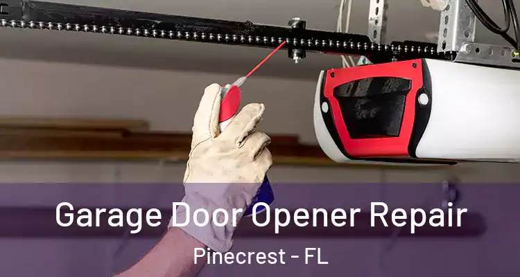  Garage Door Opener Repair Pinecrest - FL