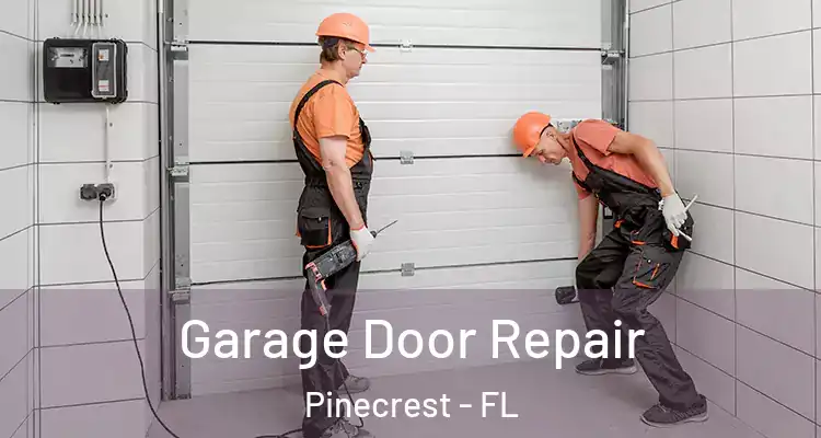  Garage Door Repair Pinecrest - FL