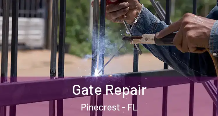  Gate Repair Pinecrest - FL