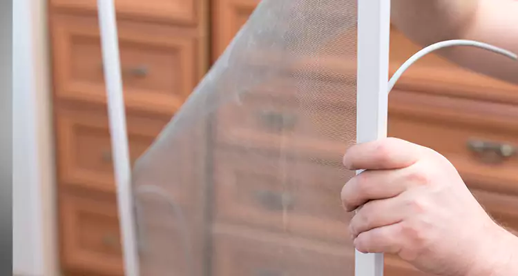Privacy Mesh Screen Door Installation in Pinecrest, FL