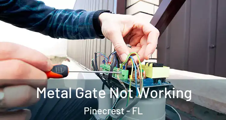  Metal Gate Not Working Pinecrest - FL