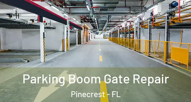  Parking Boom Gate Repair Pinecrest - FL