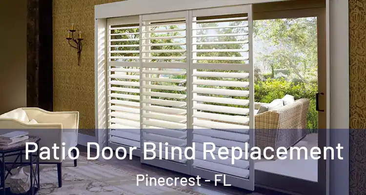  Patio Door Blind Replacement Pinecrest - FL