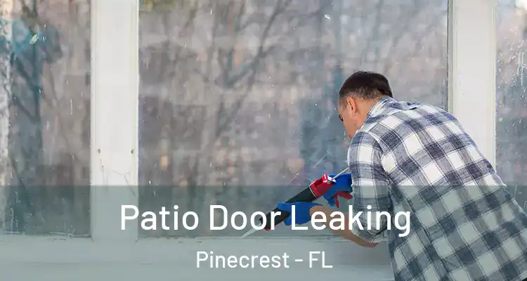  Patio Door Leaking Pinecrest - FL