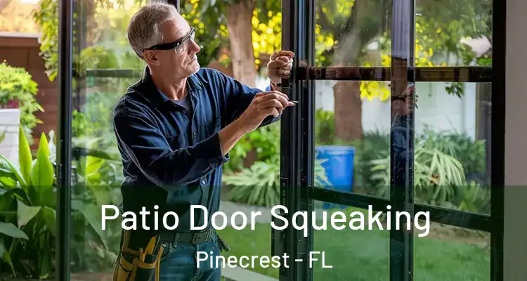  Patio Door Squeaking Pinecrest - FL