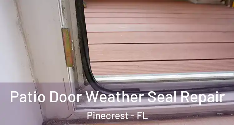  Patio Door Weather Seal Repair Pinecrest - FL