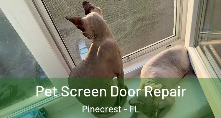  Pet Screen Door Repair Pinecrest - FL