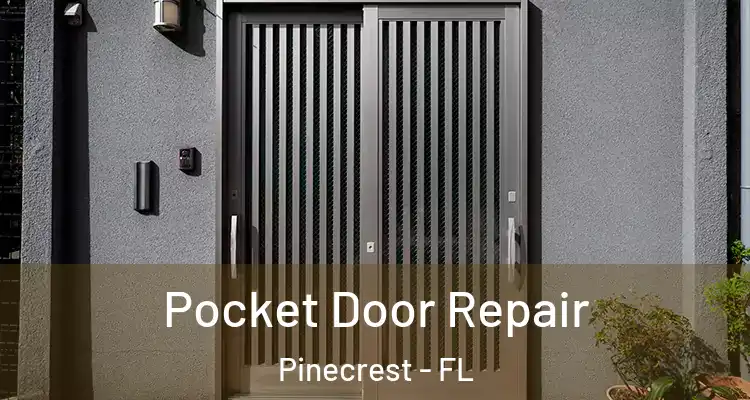  Pocket Door Repair Pinecrest - FL