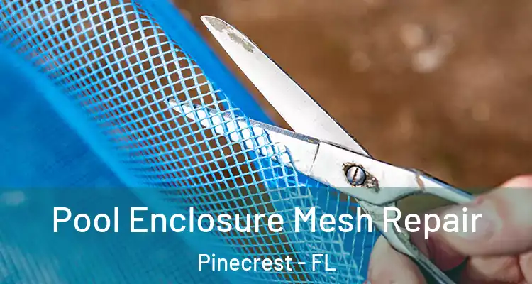  Pool Enclosure Mesh Repair Pinecrest - FL