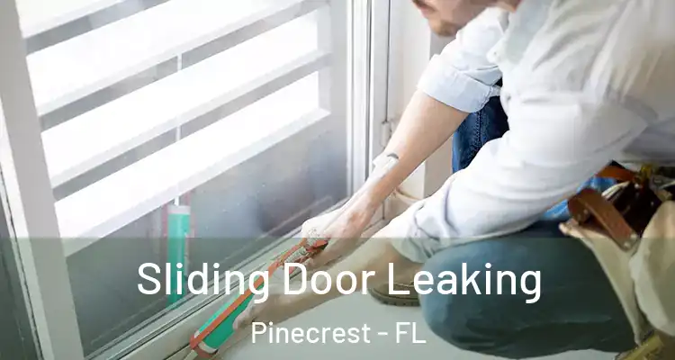  Sliding Door Leaking Pinecrest - FL