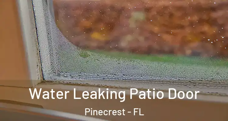  Water Leaking Patio Door Pinecrest - FL
