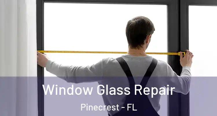  Window Glass Repair Pinecrest - FL