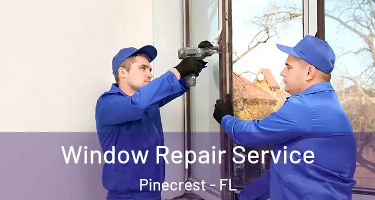  Window Repair Service Pinecrest - FL