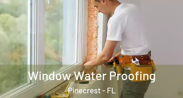  Window Water Proofing Pinecrest - FL
