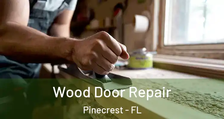  Wood Door Repair Pinecrest - FL